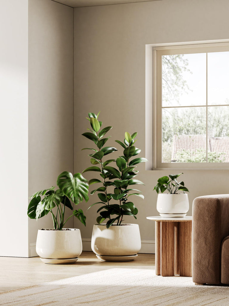 Ceramic Planter, 10 Inch, Large Plant Pot, Reactive Glaze Beige