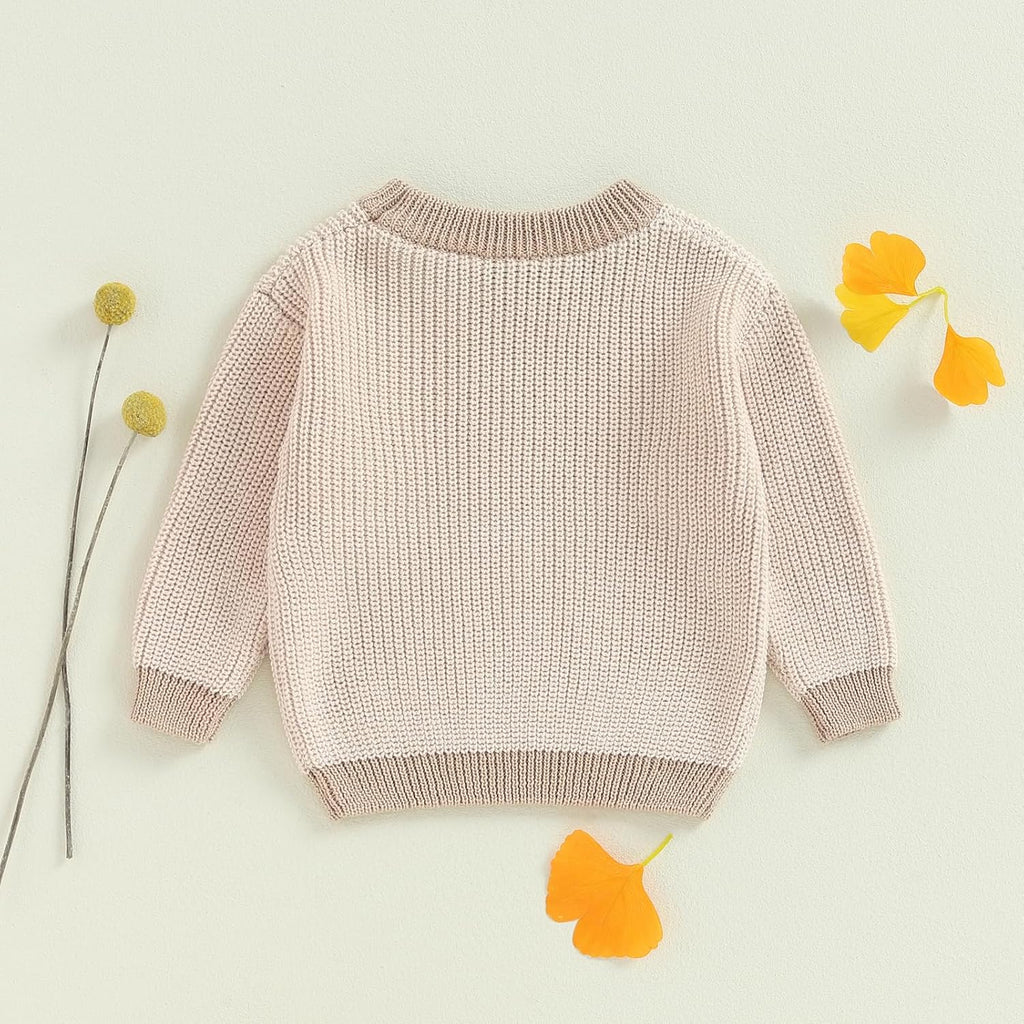 Infant Toddler Baby Girl Boy Knit Sweater Crewneck Chunky Sweatshirt