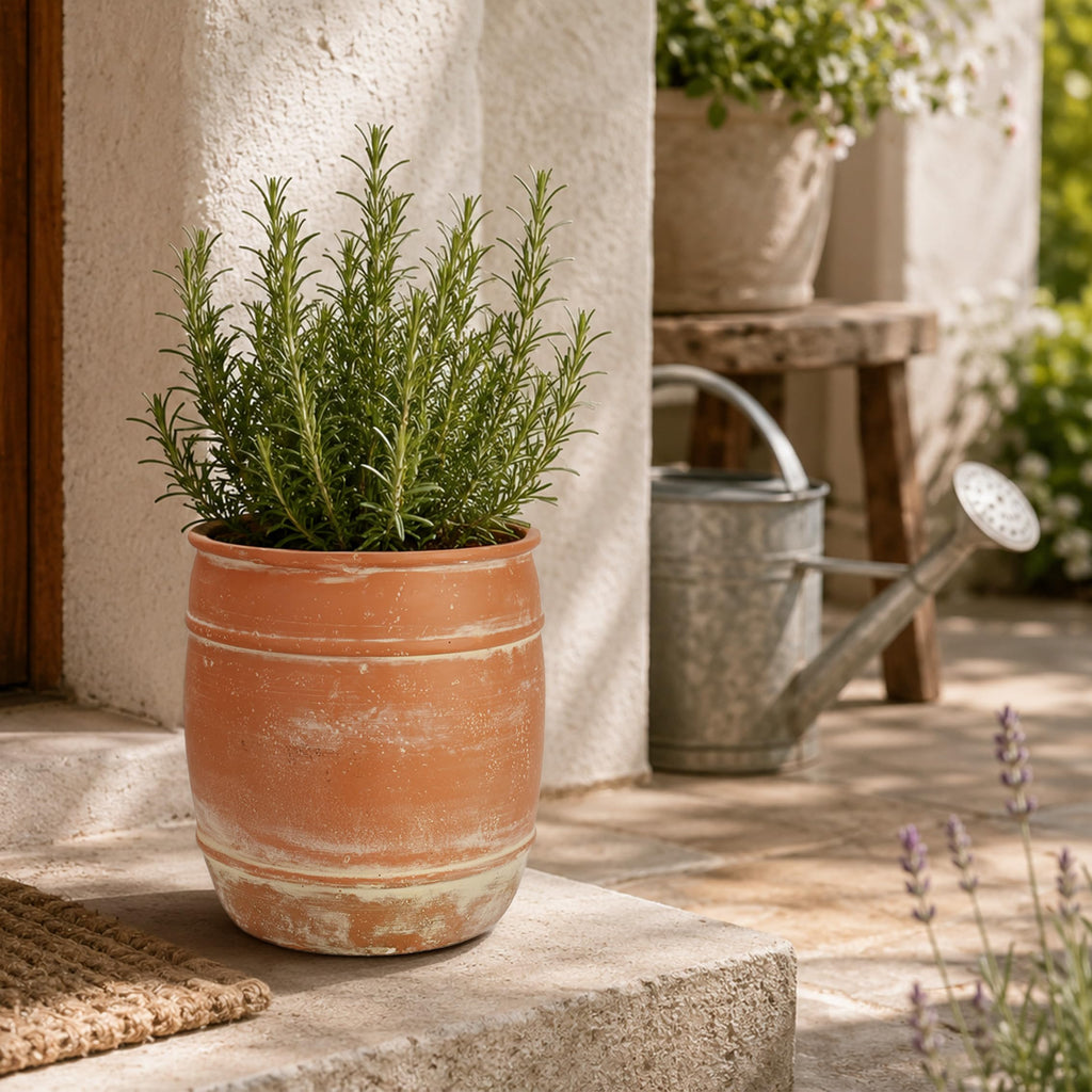 11"H x 9.5" Dia Aged Terracotta Clay Planter Pot with Drainage Hole, Rustic Farmhouse Style Flower Pot with