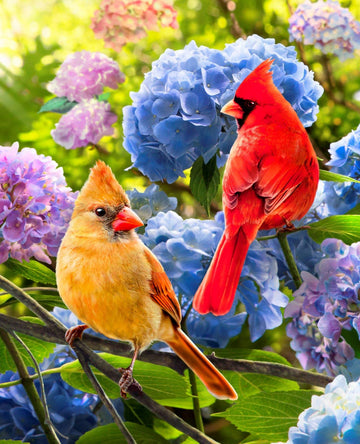 Cardinals and Hydrangea Cotton Panel Fabric 36 X 44 Inches