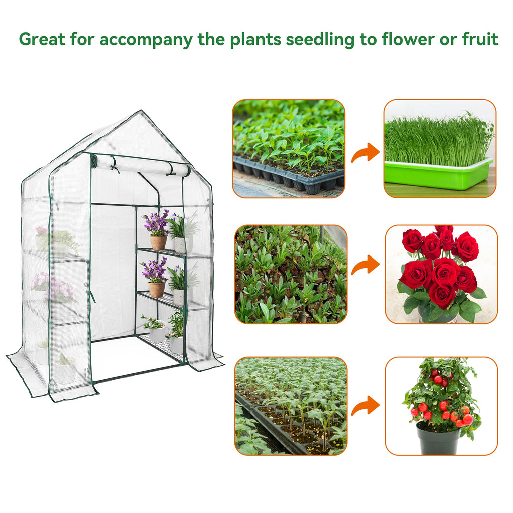 Walk in Greenhouse with 3 Tier 6 Shelves, 2 More Bottom Shelves Reinforced Plant House, Growhouse/Green House for