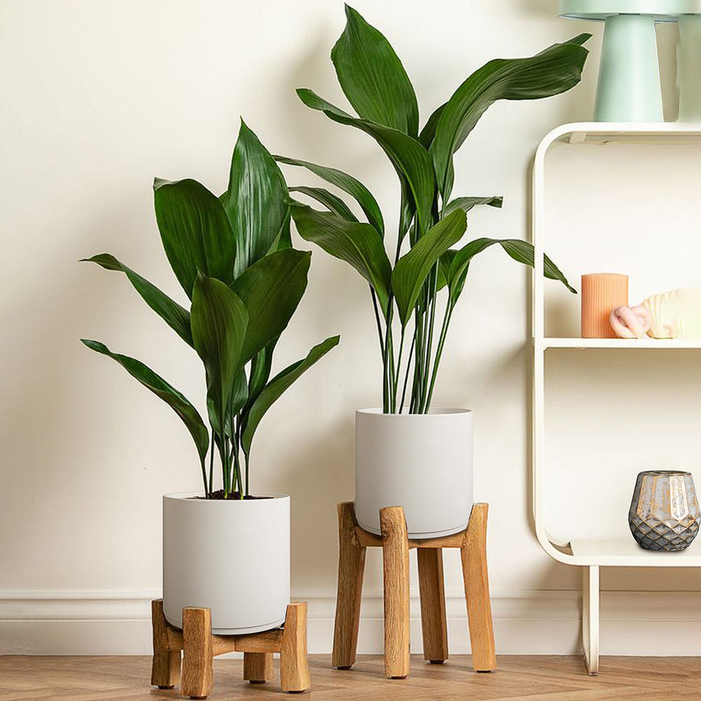 Cylinder Plant Pots 12/10/8 Inch Set of 3, Modern Round Planters with Drainage Holes and Saucers, Durable Plastic