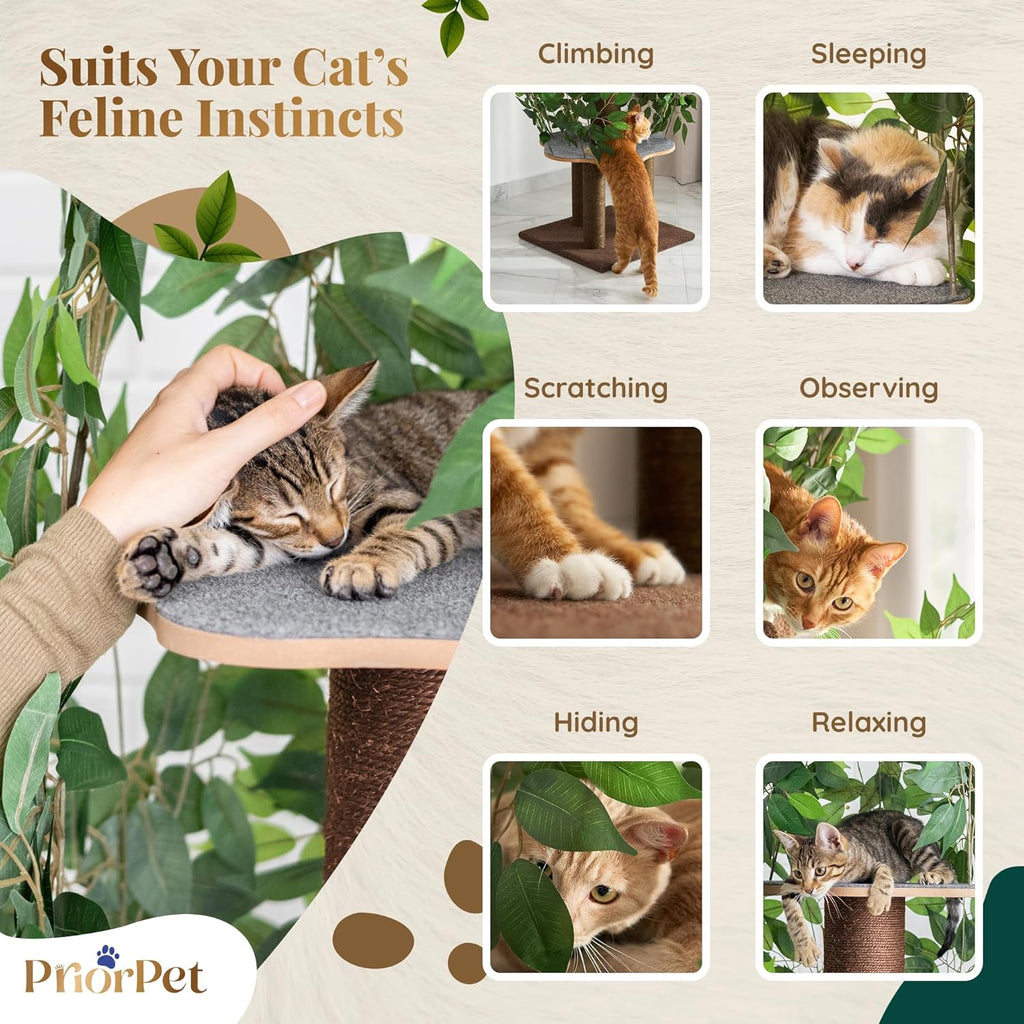 Cat Tree with Leaves - Stable & Space-Saving Design - 4 Scratch Levels & 5 Scratching Posts