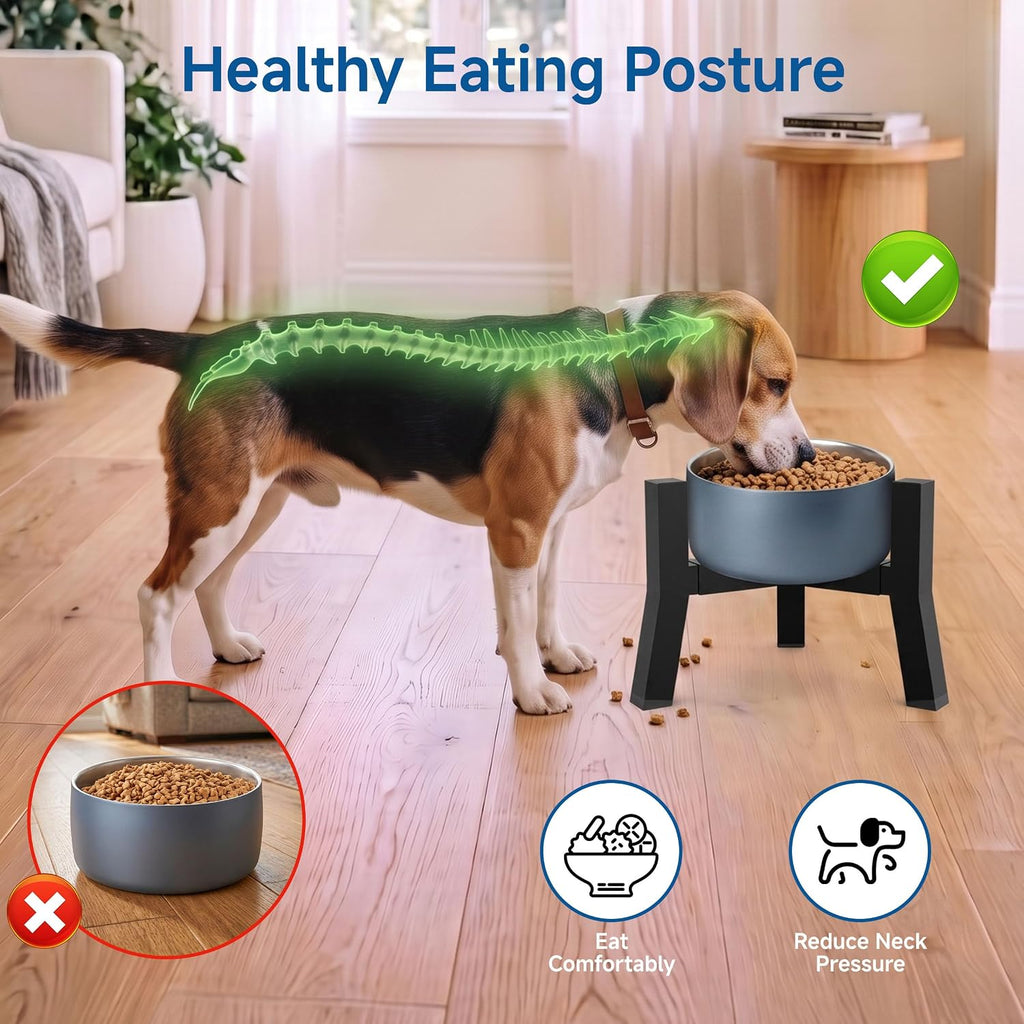 Adjustable Single Elevated Dog Bowl Stand, Lifted Holder No Bowls