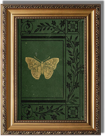 Gold Framed Wall Art Butterfly Emerald Green Old Bookcover Print