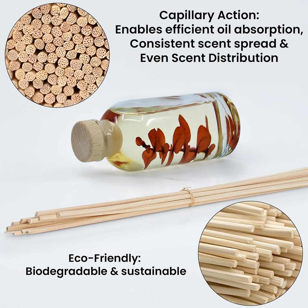 Reed Diffuser Set, Bay Rum & Sandalwood - Bathroom Décor - Set of 375