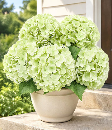 3Pcs 21in Real Touch Hydrangeas Artificial Faux, Light Green