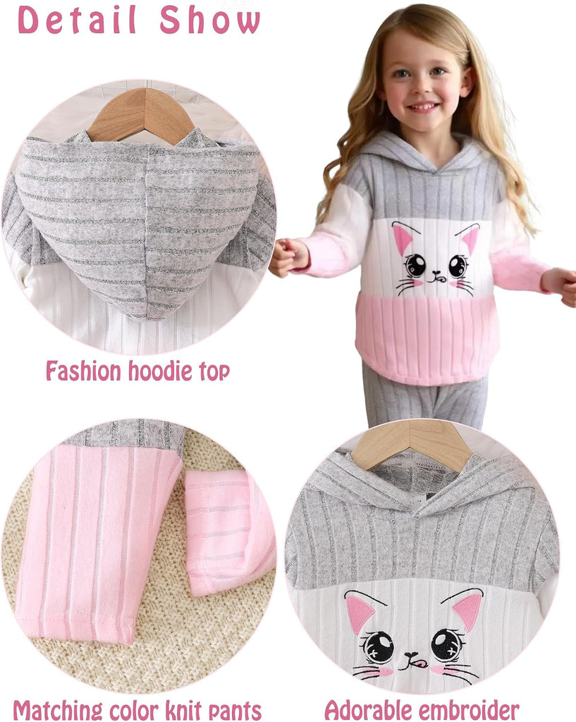 Toddler Baby Girl Clothes Fall Winter Outfits Long Sleeves Hoodie Top Sweatpants Set Sweatsuit 2Pcs