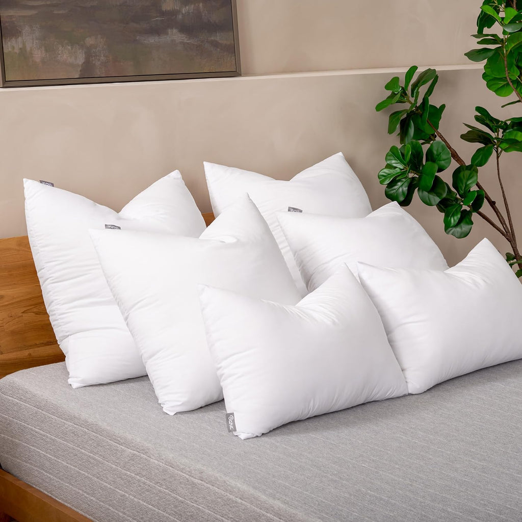 Throw Pillow Insert 22 x 22 Inches (, White) - Set of 2