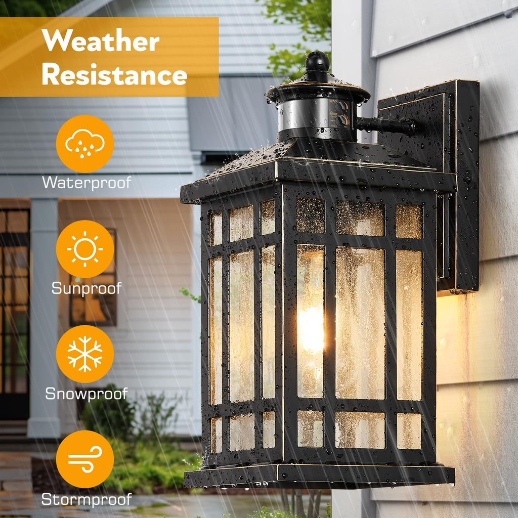Outdoor Lights, Black Motion Sensor Outdoor Light with Gold Trim