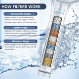 Filtered Shower Head with Handheld, High Pressure 7 Spray Showerhead with Filters for Hard Water