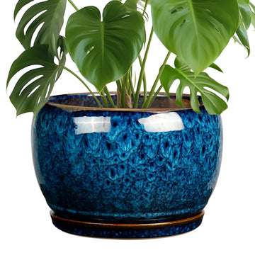 10 Inch Plant Pot - Ceramic Planter Pot with Drainage Hole and Saucer, Decorative Plant Pot for Indoor Outdoor