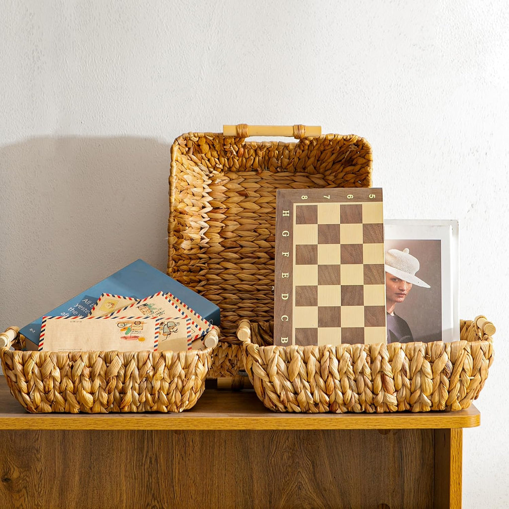 Woven Storage Baskets - Set of 3 Handwoven Water Hyacinth Wicker Baskets with Wooden Handles for Organizing