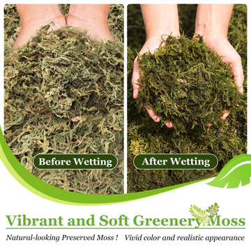 14OZ Natural Moss Artificial Fake Moss Alternative for Plants Indoor