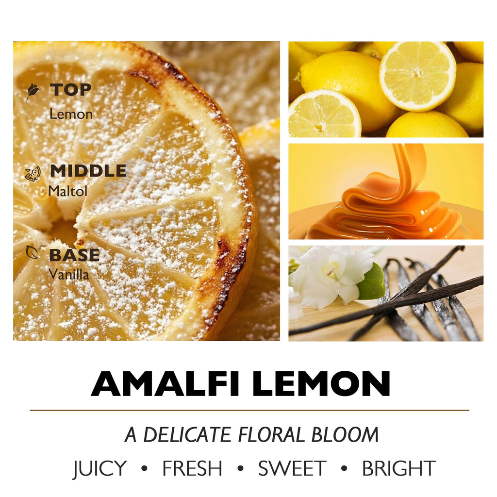 Scented Candle | 1-Wick Long-Lasting Scented Candles, 6.7oz Natural Soy Wax Candle Scented, Eclectic Mixed Styles