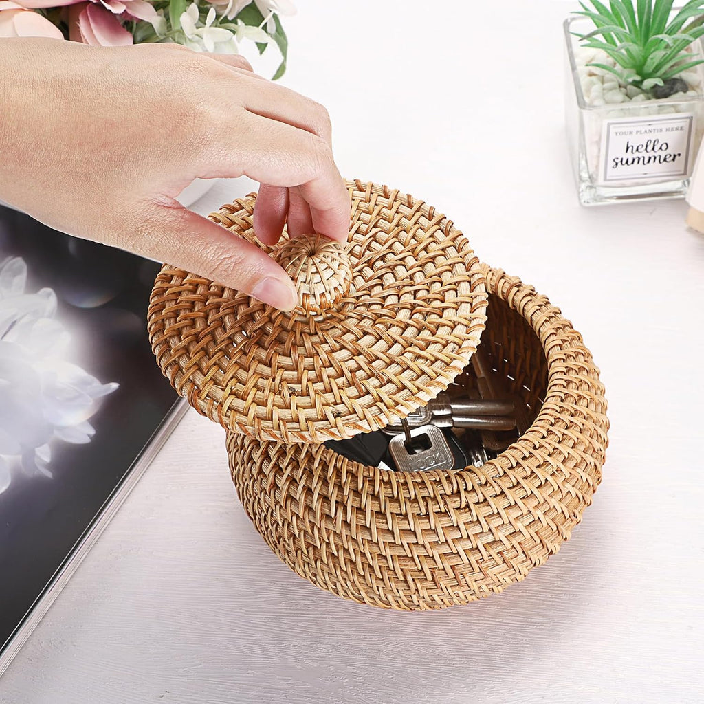 Round Rattan Basket Box with Lid Wicker Storage Baskets Bin, X-Small