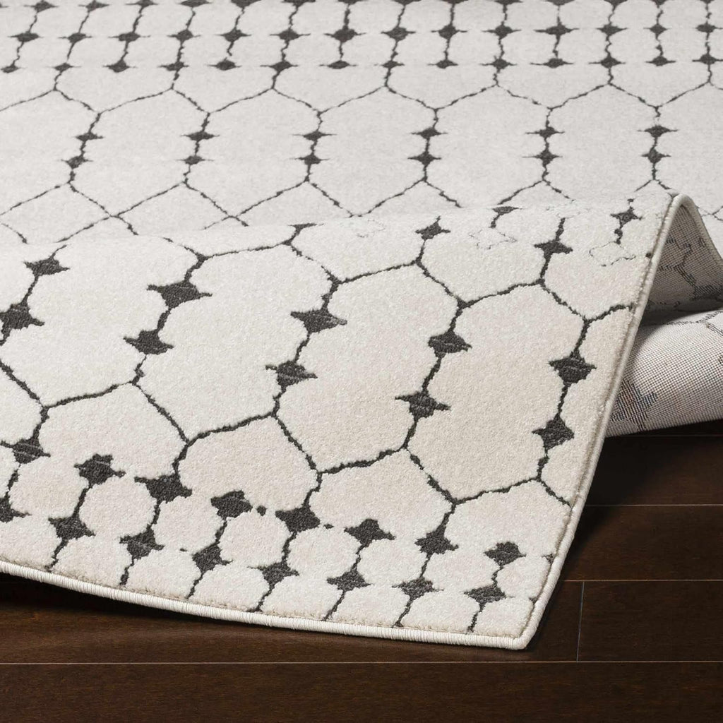 Chubbuck Living Room, Bedroom Area Rug - Trellis Geometric Diamond Lattice - Bohemian Moroccan Modern Contemporary