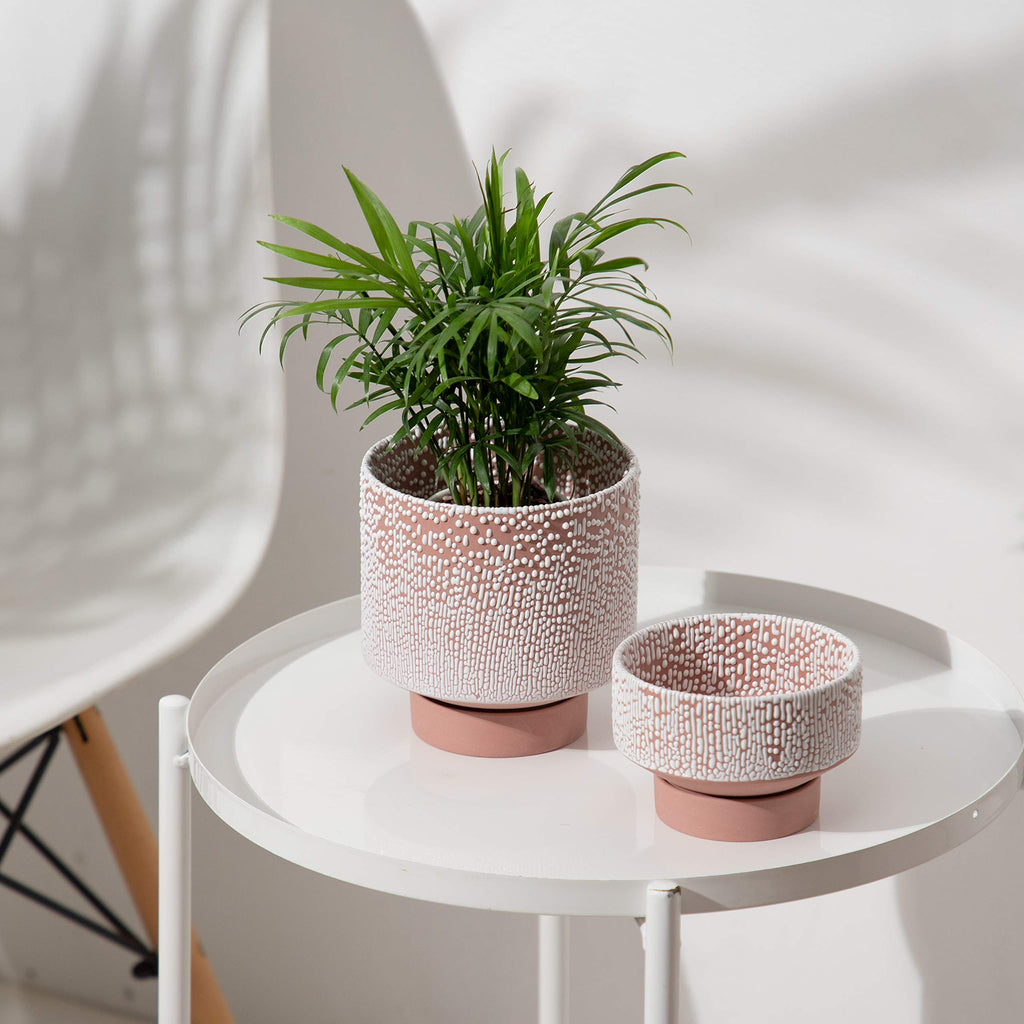Planter Ceramic Flower Pot for Indoor Plants | 5.5 inch + 4.9 inch Plant Pot with Saucer and Drainage Hole for Aloe