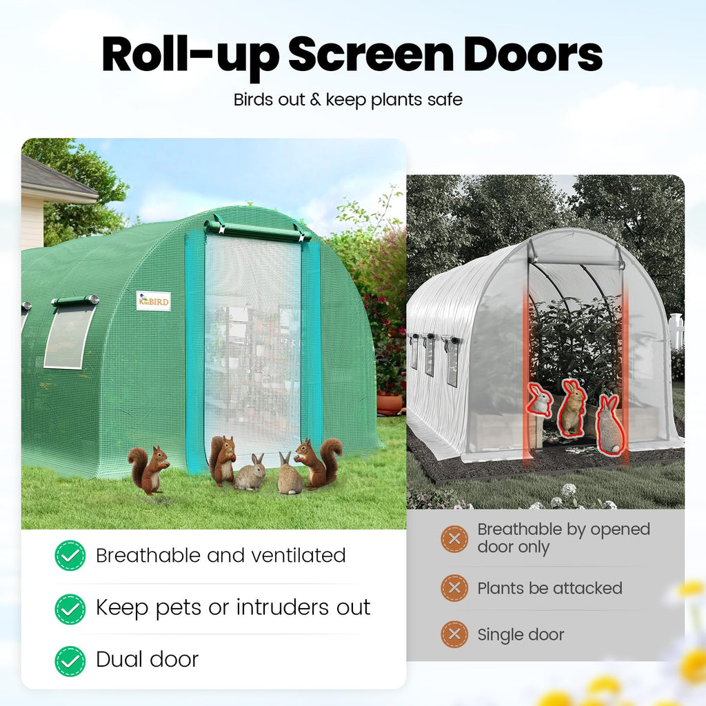Premium 20x10x6.6FT Greenhouse for Outdoors Large Walk