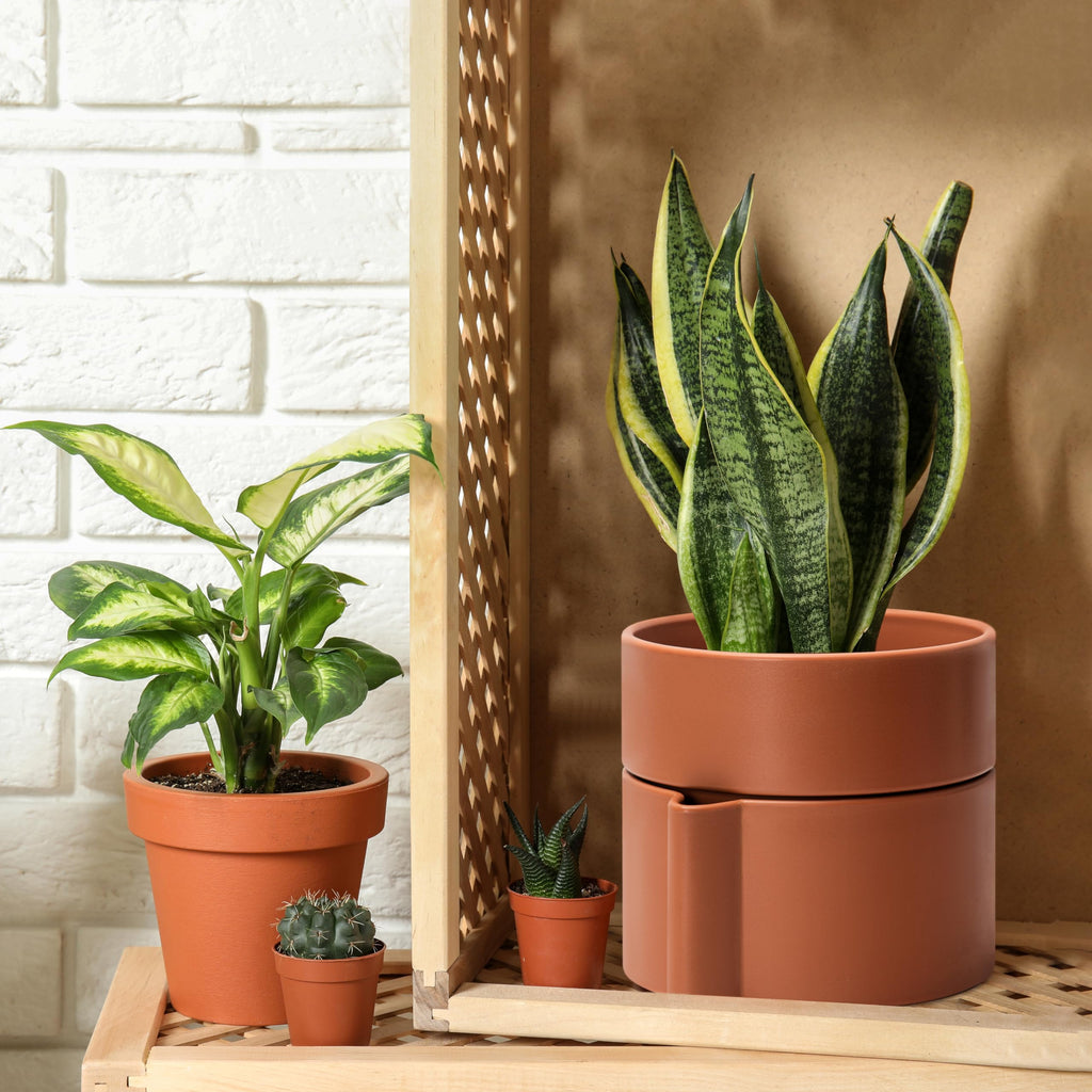 8 Inch Self-Watering Planter Pot with Terracotta Insert, Deep Water Reservoir, and Ceramic-Alike BPA-Free Plastic