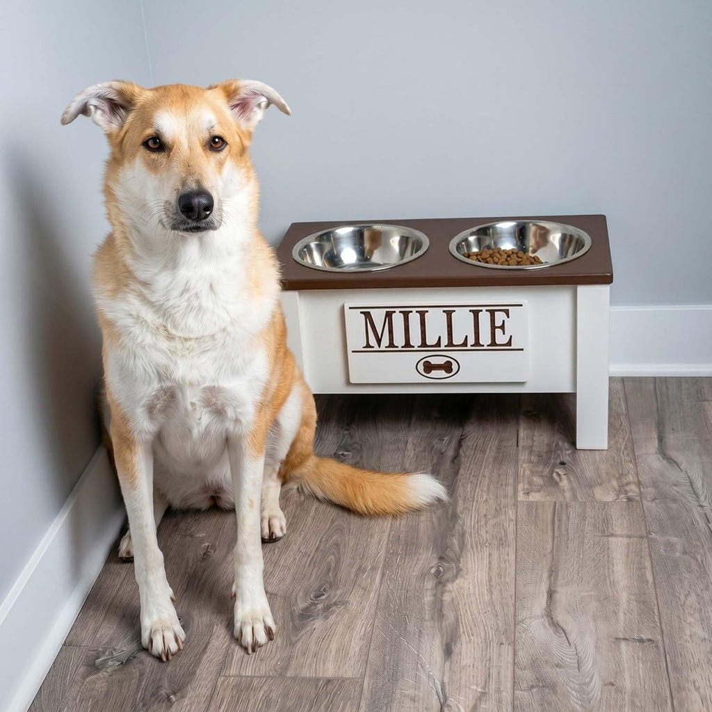 Elevated Dog Bowls for Large Dogs, Personalized Food Stand for Large Breed
