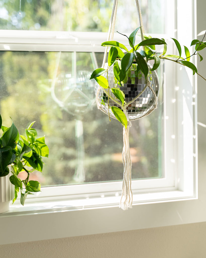 Disco Ball Planter 8" with Acrylic Base and Cotton Macrame Plant Hanger - Décor, Room Décor, Boho Décor, Disco
