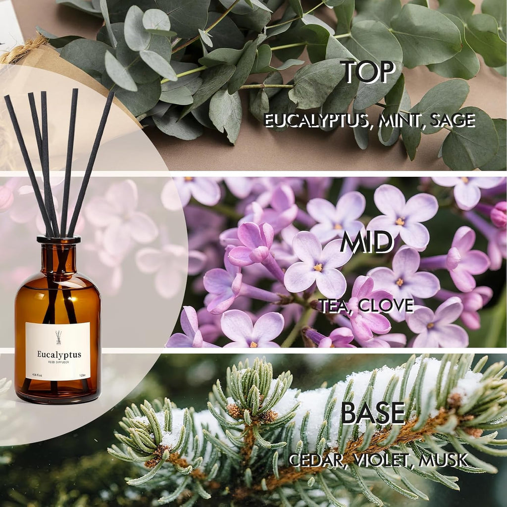 Reed Diffuser Set, 8.12 fl.oz Eucalyptus Scented Diffuser with Sticks, Up to 120 Days, Home Fragrance Reed Diffuser - Set of 2