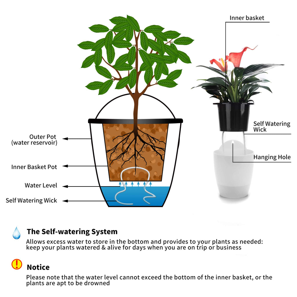 6 Pack Hanging Planter Wall Planter Self Watering 5 inch Plant Pot with Hardware Vertical Planter Outdoor Indoor