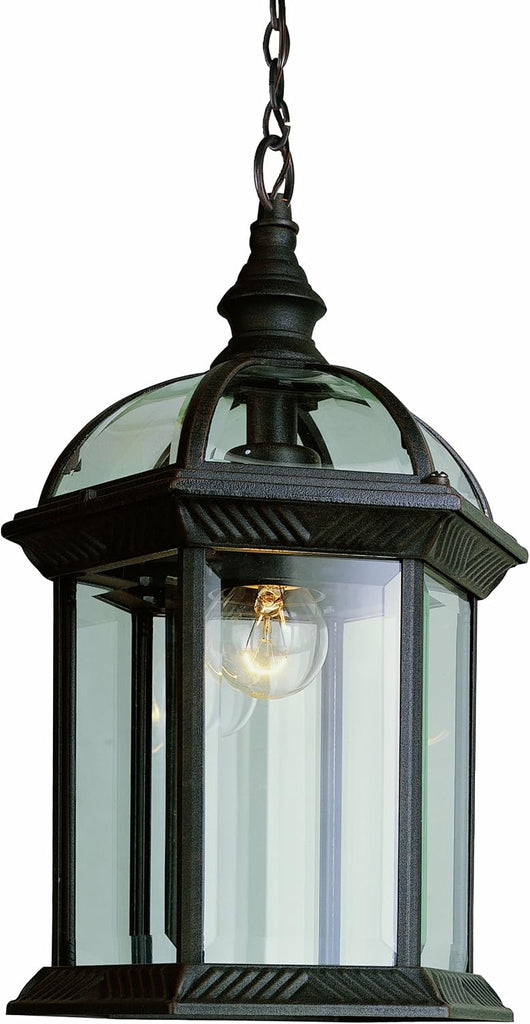 RT Wentworth Collection One Light Outdoor Hanging Lantern I in a Rust Finish I Traditional Style Light Fixture I