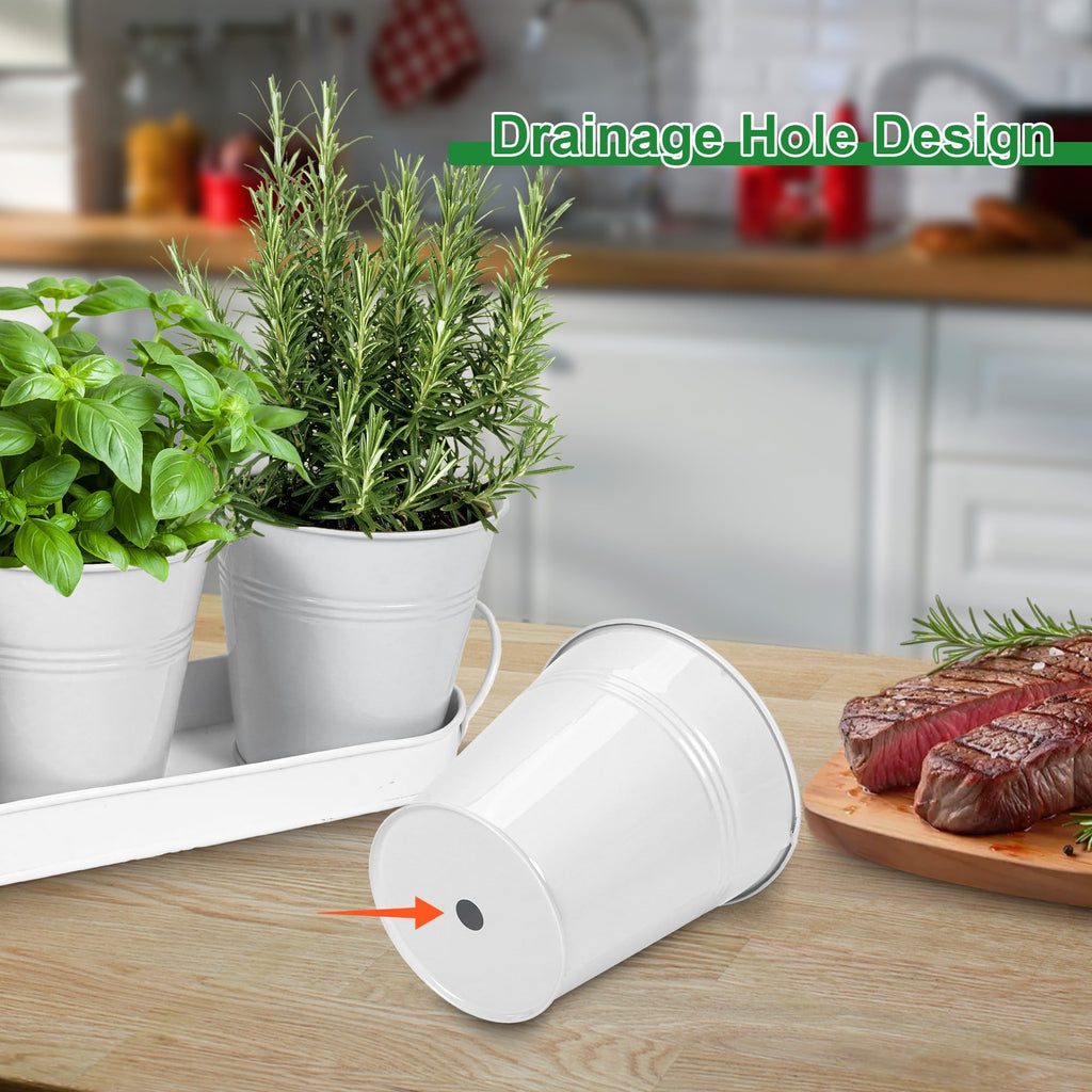 Herb Garden Planter Indoor Kit - 6 Metal Pots with 2 Trays for Windowsill & Kitchen Counter - Modern Decorative