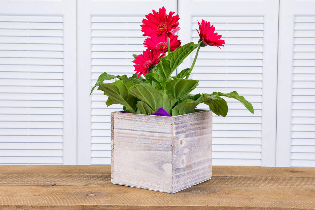 Wooden Planter Box, Rustic Whitewash with Plastic Liner l Garden Decor l Restaurant and Wedding Decorations l Wedding