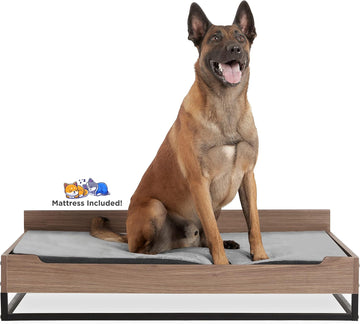 Milo Wooden Elevated Dog Bed with Soft Foam Mattress, Large