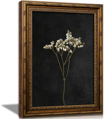 Vintage Gold Framed Wall Art, Minimalist White Dried Stem Flower Art, Dark Tone Botanical Print, Farmhouse, Ready to