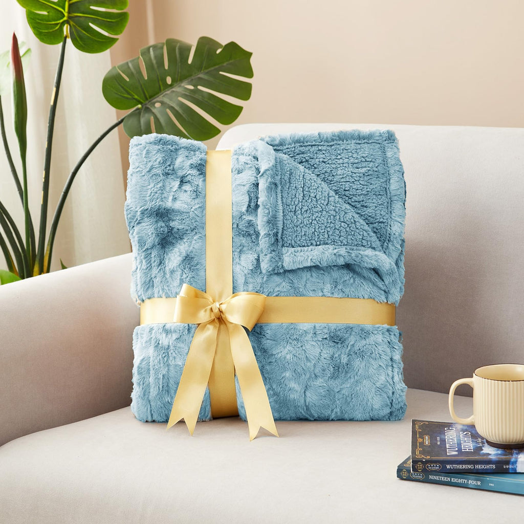 Heated Blanket Throw, Soft Electric Blanket 50x60in, Light Blue