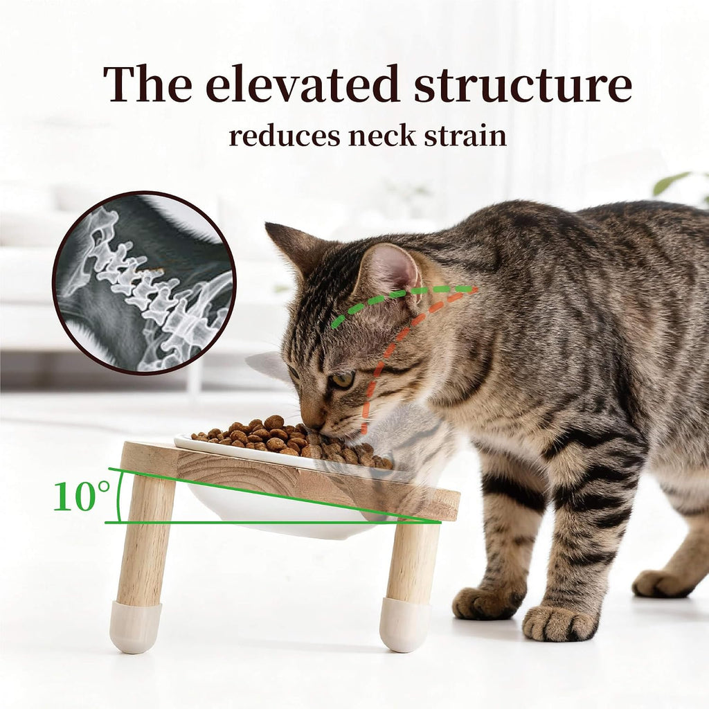 11.8 oz Elevated Ceramic Double Cat Bowl Set - Modern Lead-Free Feeder with Natural Oak Wood Stand (Oak Stand & 2