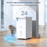 6,000 Sq.Ft Most Efficient Energy Star 2025 Dehumidifier