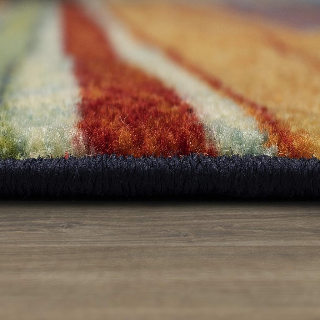 Area Rug Rainbow Stripe 2' x 5'