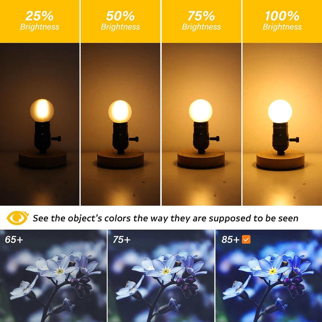 G16.5 E26 dimmable LED filament globe bulb, frosted 2700K, indoor and outdoor, set of 6