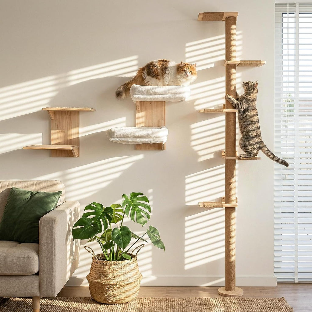 Cat Wall Shelves, 2 Platform Cats Walls Furniture