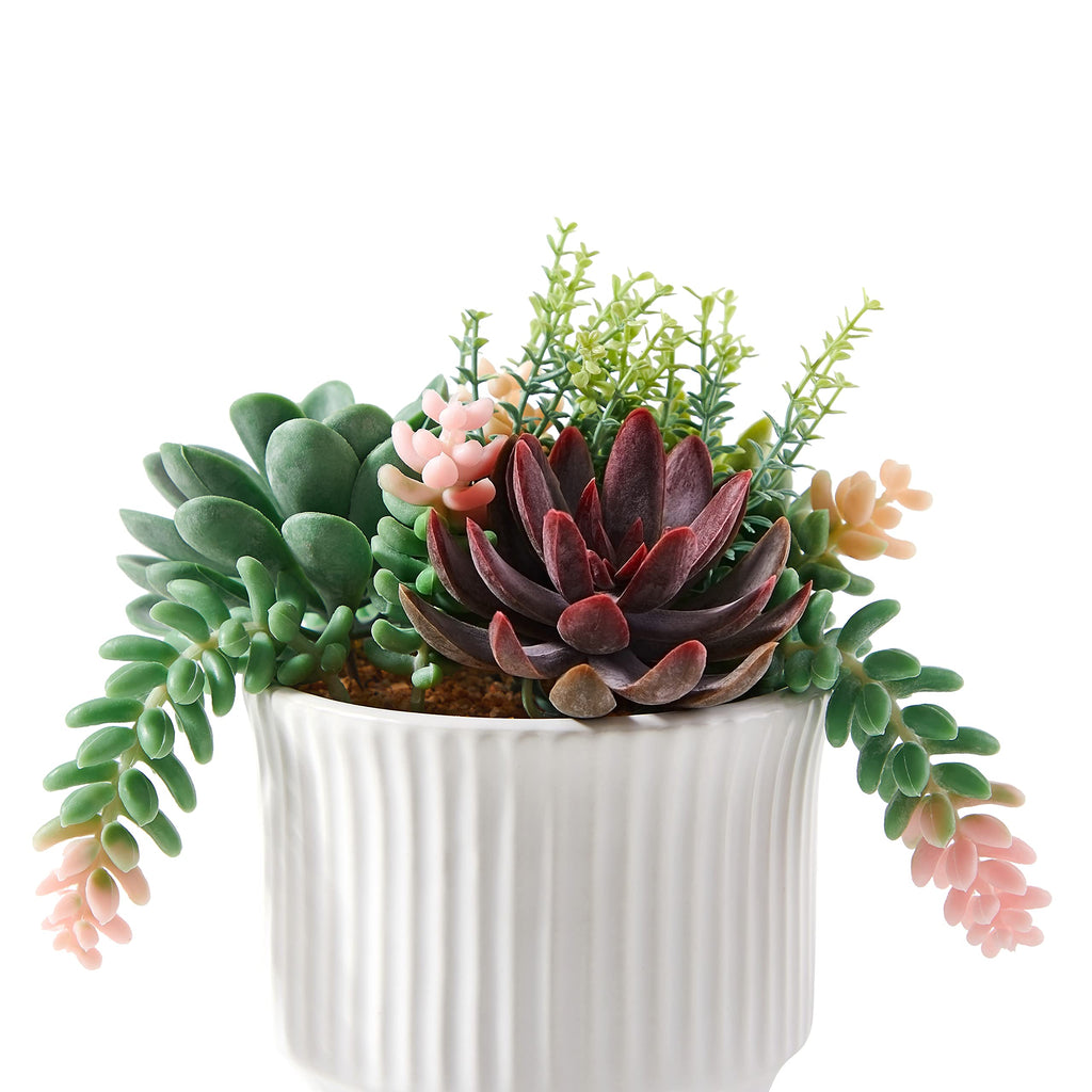 Artificial Succulent Plants, Faux Succulents Fake Plants Set of 2