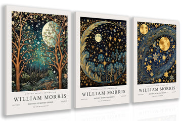 Wrapped Canvas William Morris Moon Star Wall Art Set of 3, 12x16 in