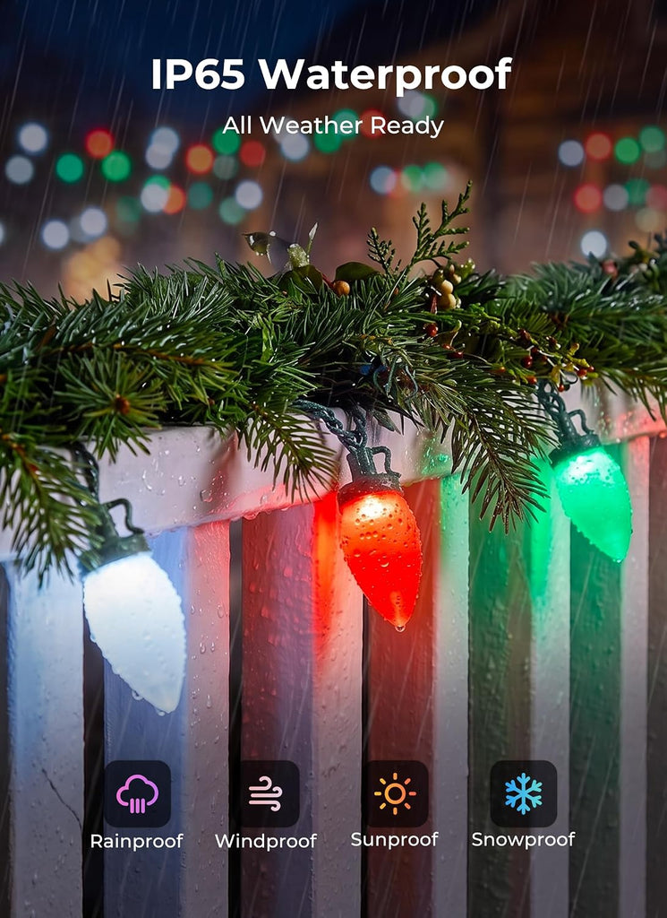 C9 Christmas Lights Outdoor, 81FT 100 LED C9 String Lights, Timer & 8 Modes