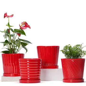 6 Inch Flower Pots for Plants, Ceramic Planter with Drainage and Saucer