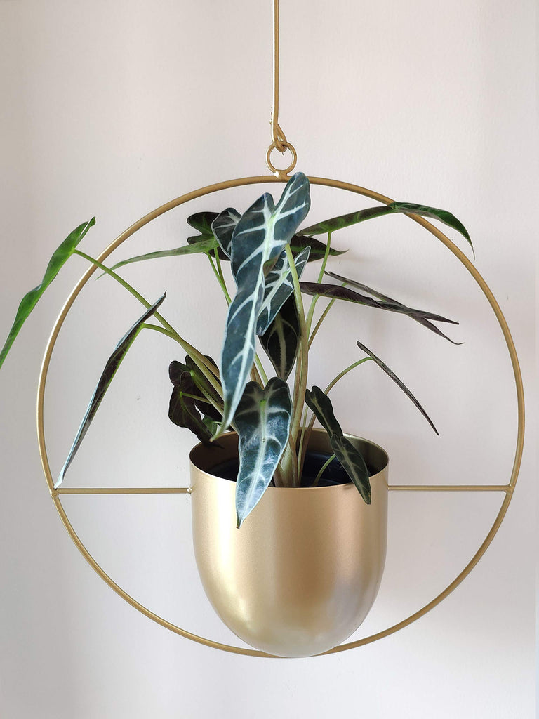 Boho Metal Plant Hanger, Metal Round Hanging Planter, Modern Planter, Mid Century Plant Holder, Minimalist Planter for