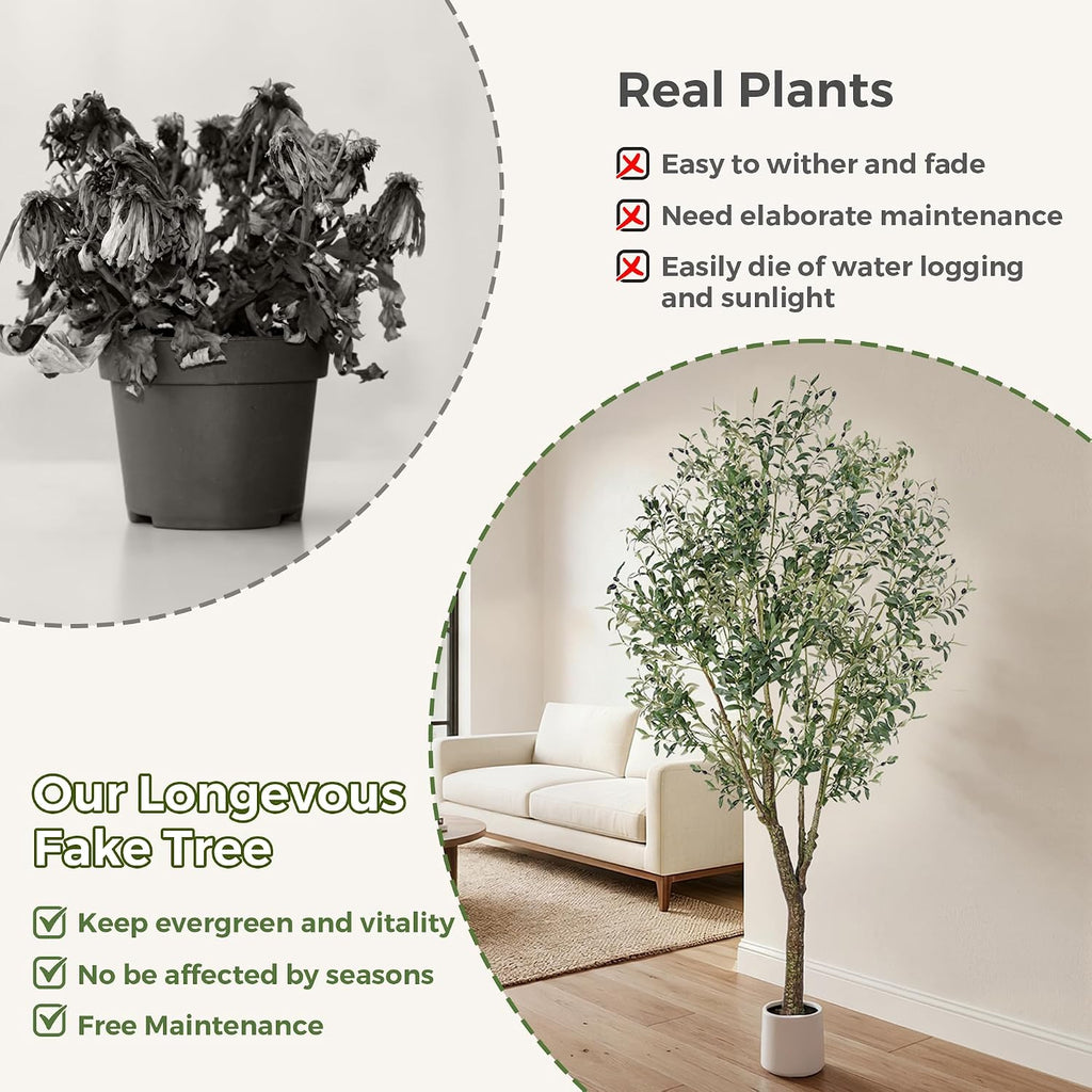 Olive Tree Indoor 7FT, Tall Faux Olive Tree with White Planter