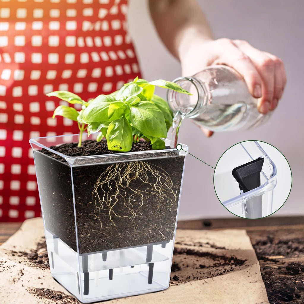 Self Watering Pots Set, Clear Self Planter Pot for Indoor Plants
