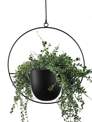 Hanging Planter for Indoor Outdoor Plants Metal Mid Century Minimalist Wall Ceiling Plant Hanger, Hanging Flower Pot