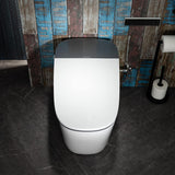 Smart One-Piece Toilet with Powerful Flush, Foam System, Warm Air Dryer, Blackout Flush, ADA Comfort Height, Auto Open and Close Lid, Heated Seat