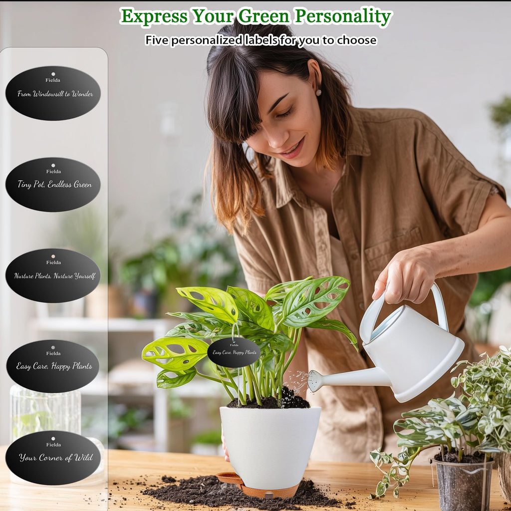 6" Self Watering Pots for Indoor Plants, 5-Pack Small Plastic Planters
