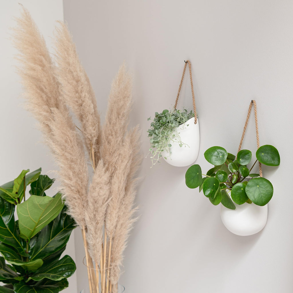 Wall Planters -Ellie - Hanging Ceramic Plant Pots 2 Pieces | Wall Decoration for Indoors, Balcony and Garden | White